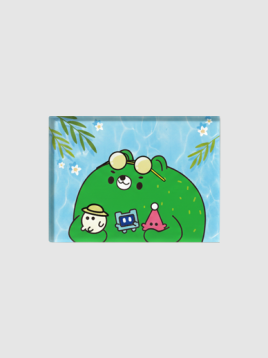 크누 썸머 마그넷 표지